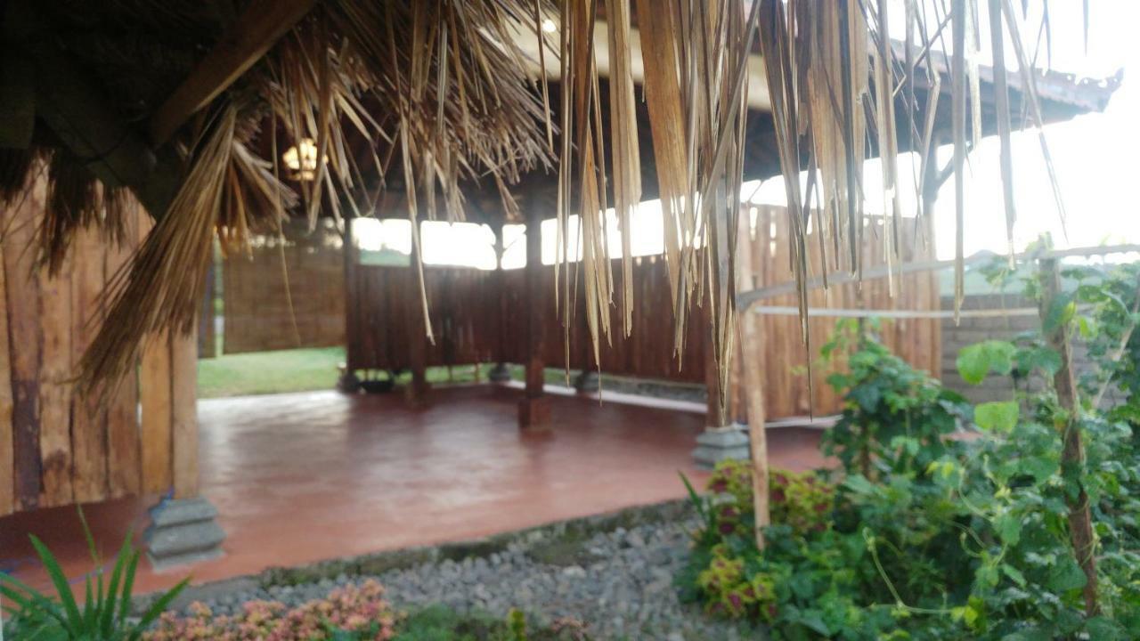 Bali Tiger Hideaway Hotel Pulukan Eksteriør billede