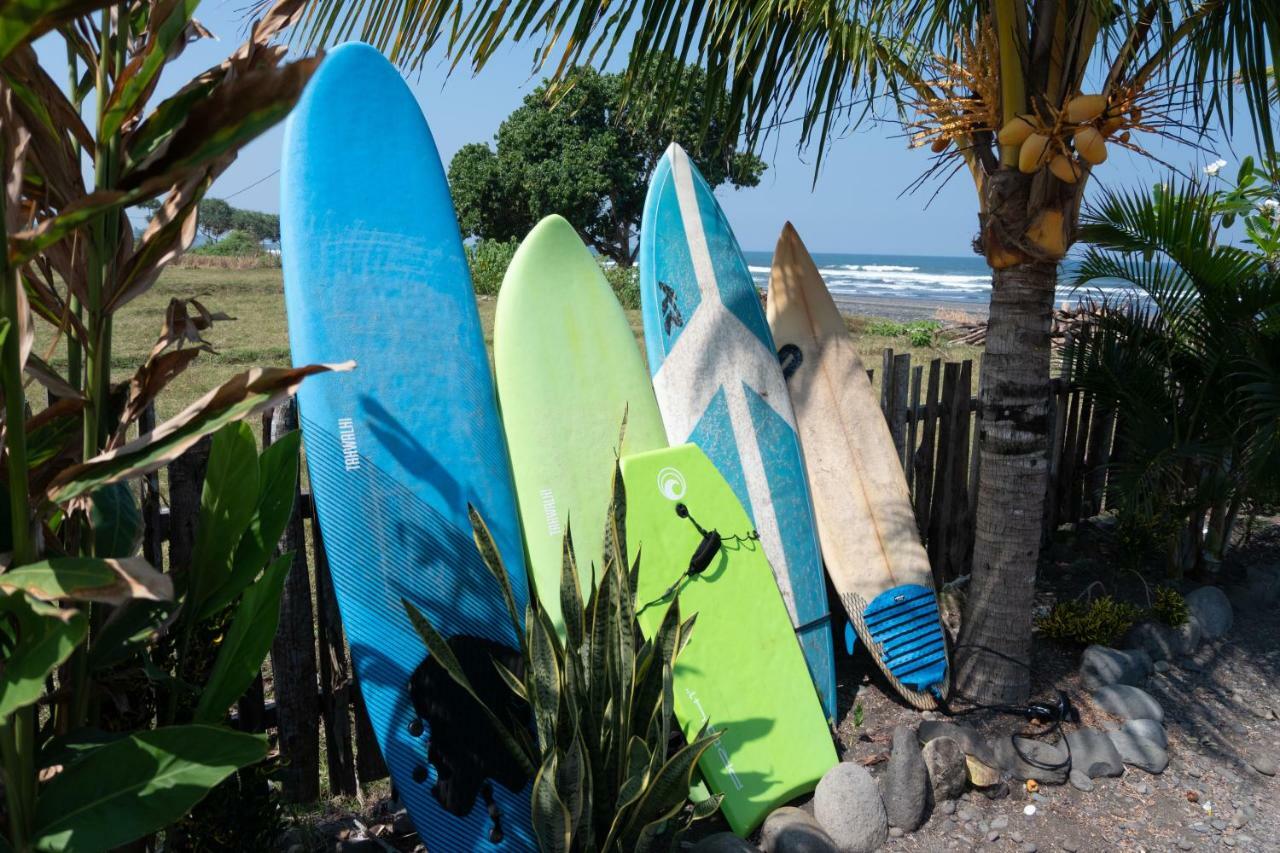 Bali Tiger Hideaway Hotel Pulukan Eksteriør billede